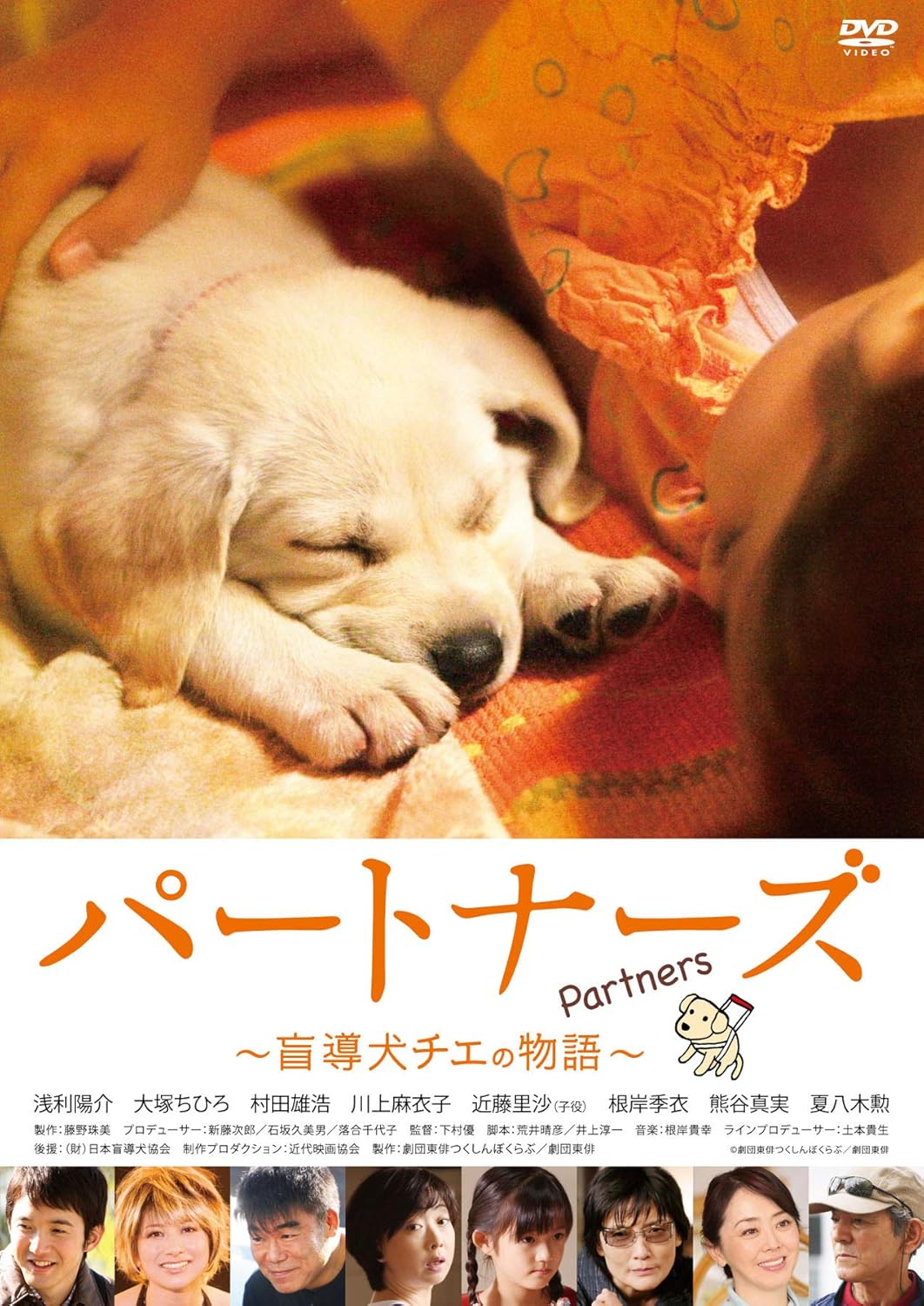 Amazon パートナーズ 盲導犬チエの物語 Dvd 映画