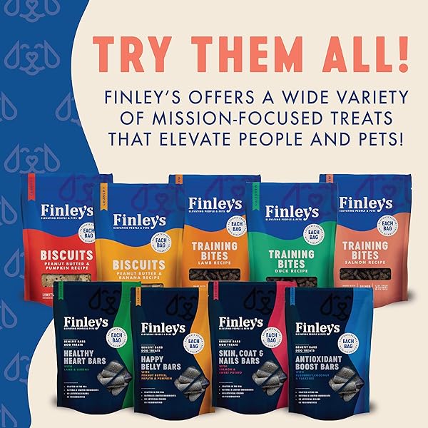 FINLEY’S SALMON TRAINING BITES, LOW CALORIE, ALL NATURAL SOFT CHEW DOG TREATS, 10 OUNCE (PACK OF 1)
