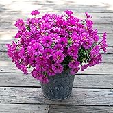 VDVST Artificial Flowers for Outdoors,UV Resistant Artificial Outdoor Flowers,Not-Fading Faux Flowers for Outdoor Planters for Front Door Porch Yard Patio Garden Home Decor,12 Bundles,Fuchsia