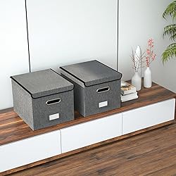 Forlogic File Organizer Box with Lid, Collapsible
