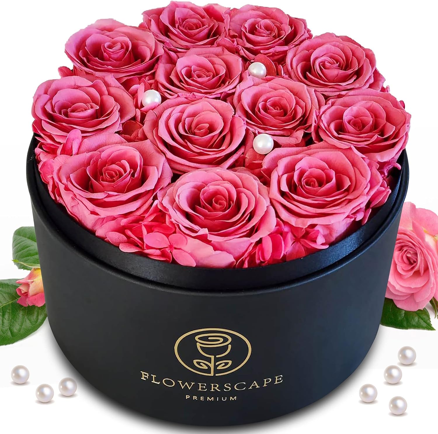 Dried & Preserved Flora - Flowerscape Premium - 12 Preserved Rose Gifts for Women Mom Girlfriend and Love, Great for Birthday Anniversary Valentines Day Mothers Day, Forever Flowers for Delivery Prime