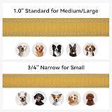 Joytale Padded Handle Dog Lead Double-Sided Reflective Nylon 1.2m Khaki view 6