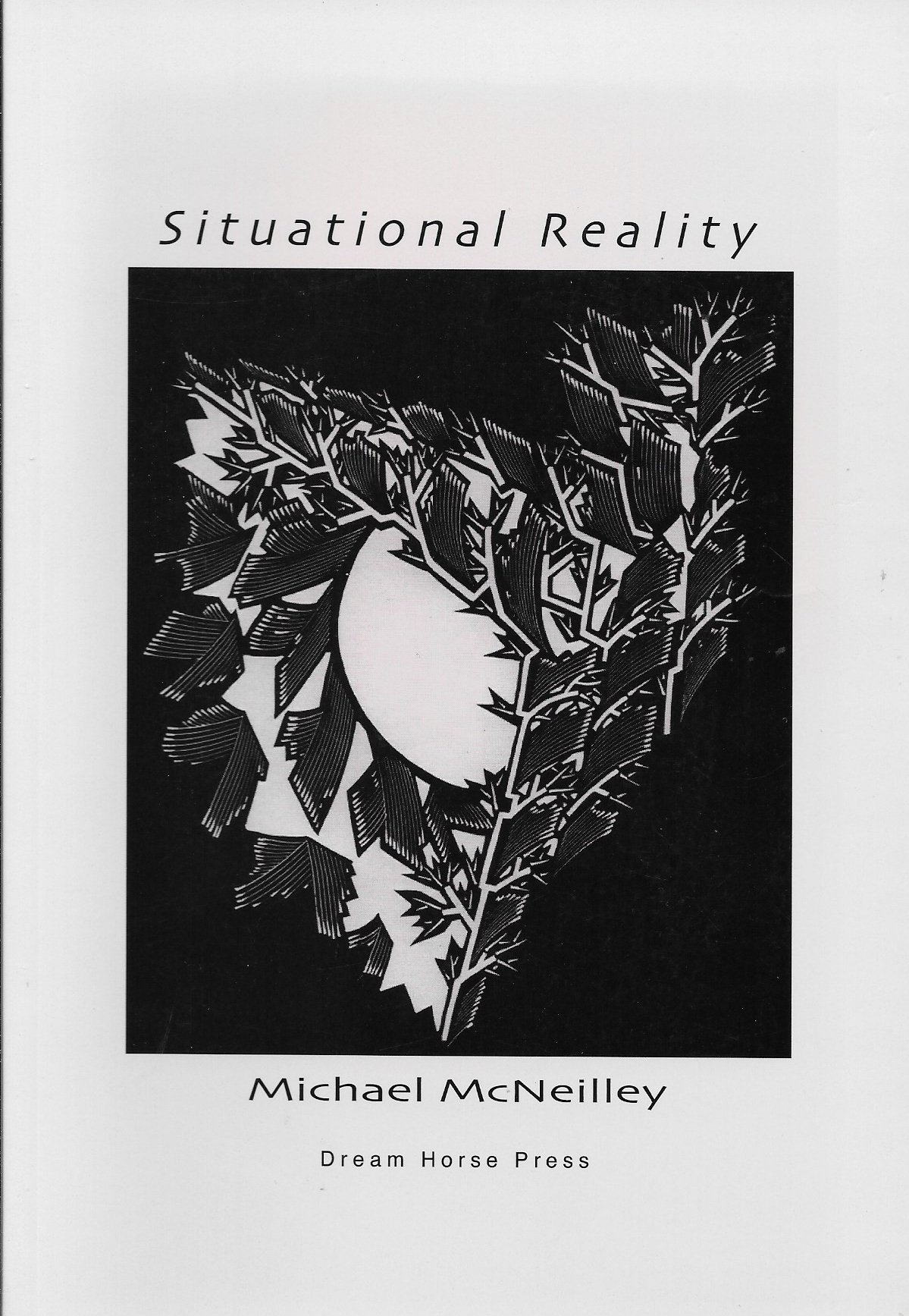 Situational Reality: McNeilley, Michael: Amazon.com: Books