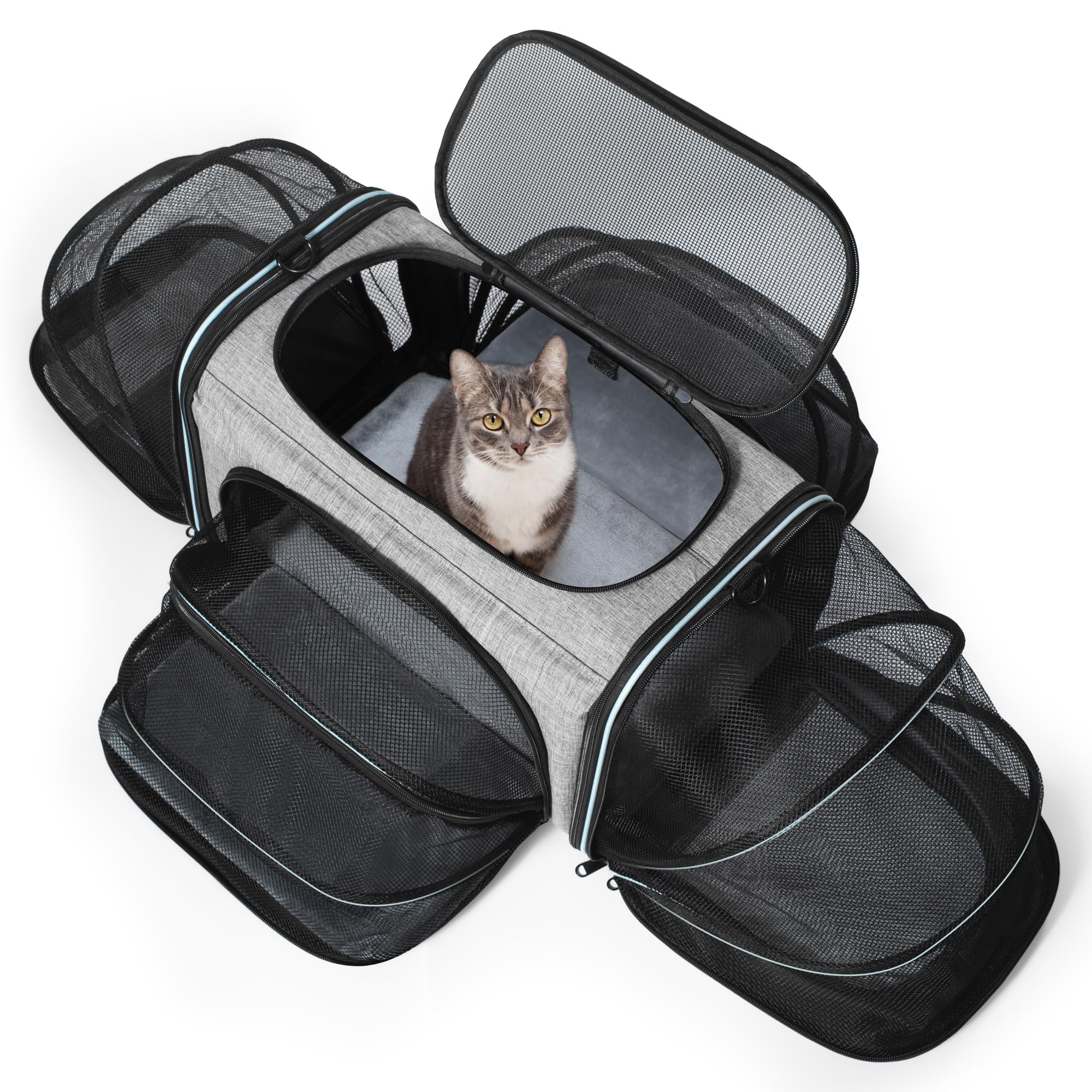 Large Cat Carrier Expandable Cat Carrier With Litter Box For