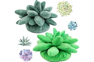 HAIABEI 2Pcs 3D Succulents Cactus Pillow 9.8x7.8 Inch 3D Succulent Throw Pillow Cactus Plush Cute Succulents Flower Plant Shaped Cushion Baby Green Plant Throw Pillows Sofa Cushion Office Pillow Kids Toys