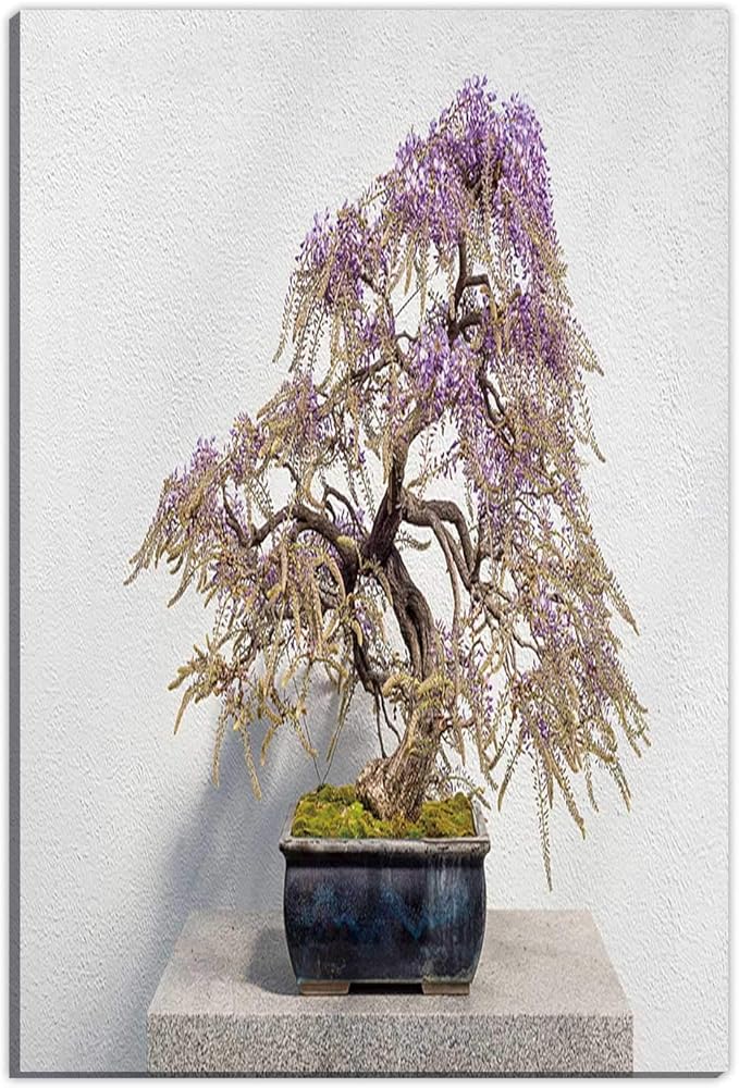Amazon Com Hitecera Blooming Japanese Wisteria Bonsai Home Decoration 126322 Canvas Wall Art For Bedroom 8 Wx12 H Home Kitchen