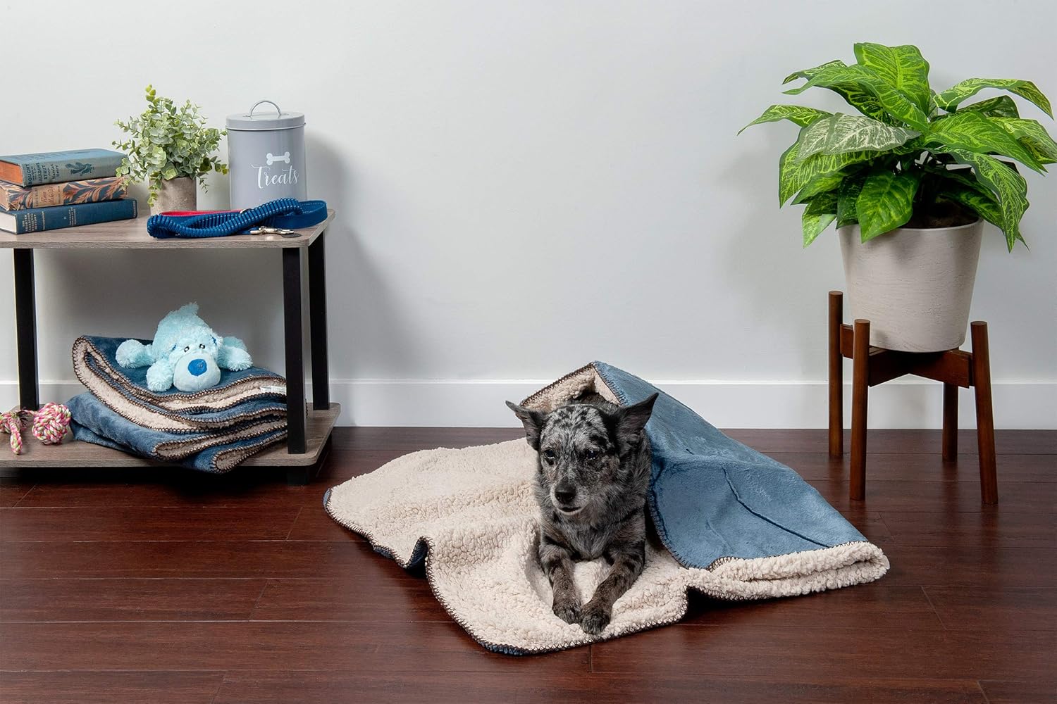 Furhaven Pet Dog Bed Heating Pad - ThermaNAP Quilted Faux Fur Insulated Thermal Self-Warming Pet Bed Pad for Dogs and Cats, Black, Small : Pet Supplies