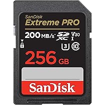 Amazon.com: Nextorage CFexpress Type B Card SE Series 256GB
