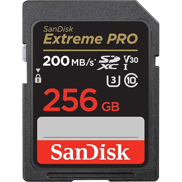 SONY α6400  SDカード付き α6400/α6600用SDカードのおすすめ3選【比較テスト有】 | digi
