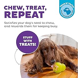 Outward Hound Double-Tuff Durable Interactive Treat