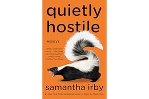 Quietly Hostile: Essays
