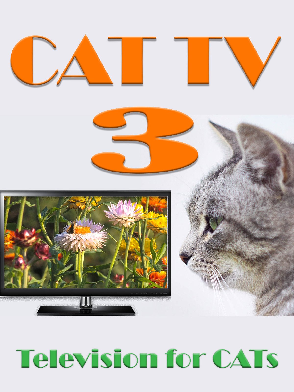 Watch 'Cat TV 3' on Amazon Prime Video UK NewOnAmzPrimeUK