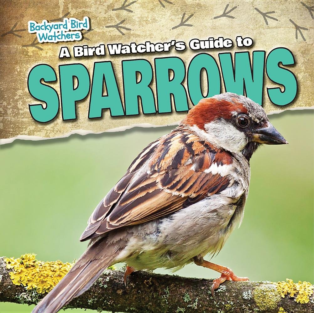 A Bird Watcher S Guide To Sparrows Backyard Bird Watchers Grace