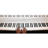 QMG Piano and Keyboard Note Chart for 88 Keys, Use Behind the Keys, Ideal Visual Tool for Beginners Learning Piano or Keyboard, Easy to Set Up