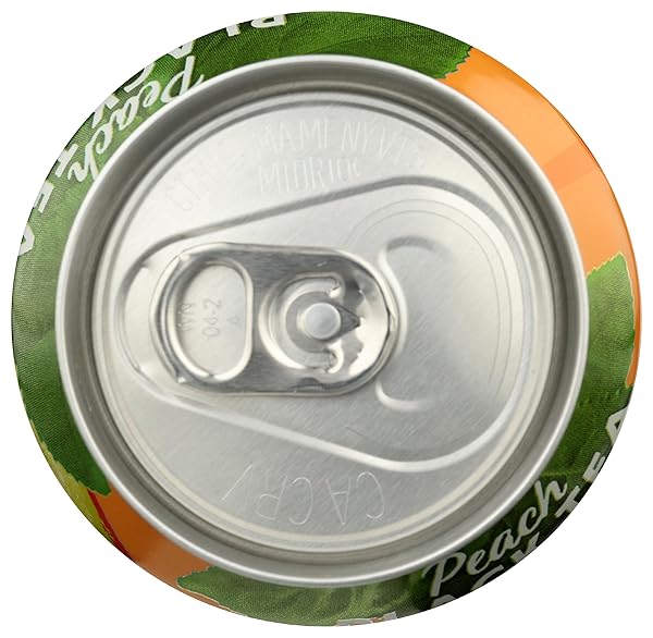 NIXIE ORGANIC PEACH BLACK TEA SPARKLING WATER SINGLE, 12 FZ