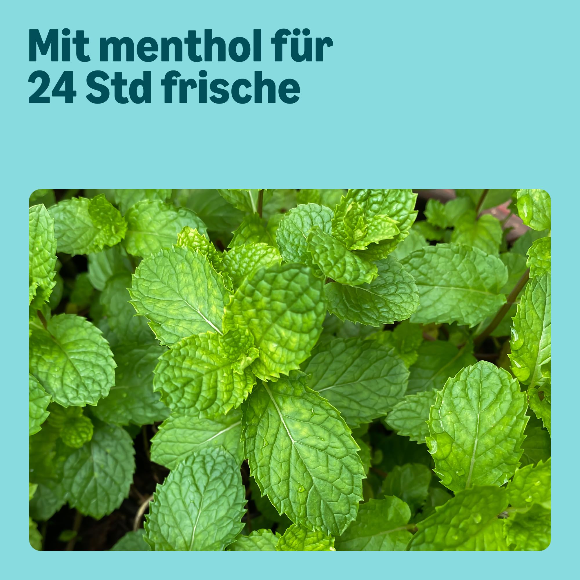 by Amazon Sport 3in1 Duschgel, für Herren, 2 x 500 ml 3