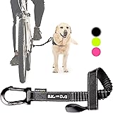 sunlite bicycle dog leash