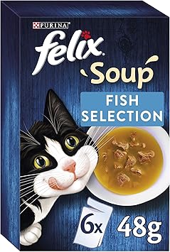 canidae fish dog food