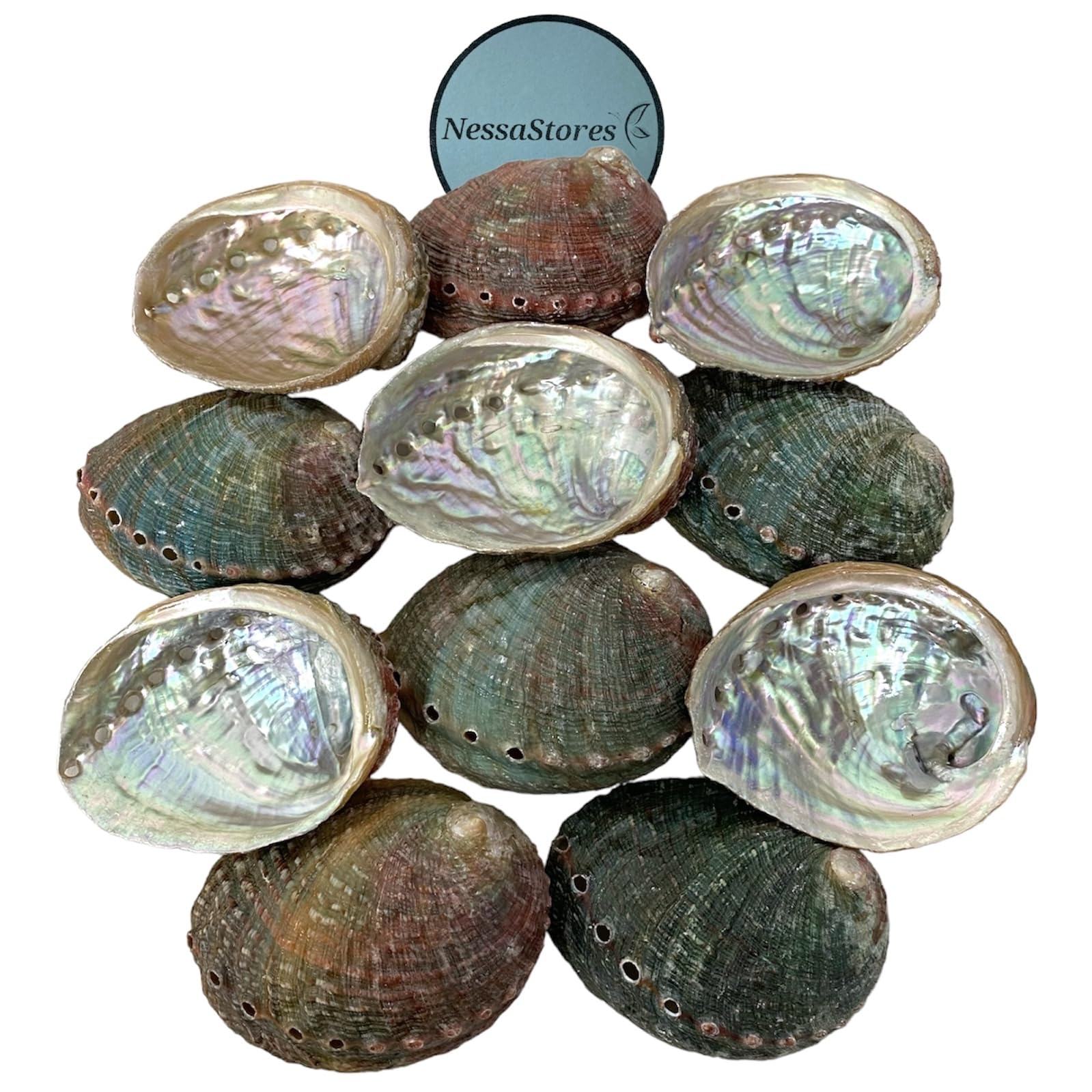 NessaStores 50 Abalone Shells 2.5 to 3.5 Inches | Beautiful All Natural Smudge Bowl - Perfect for Smudge Sticks, Incense Sticks and a Sage Smudge Kit. JC-020