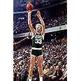 Larry Bird Poster Family Silk Wall Print 36 inch x 24 inch