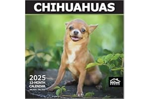 MICASA PRESS - Chihuahuas 2025 Wall Calendar 12 Month | 12" x 24" Open | Thick & Sturdy Paper | Giftable
