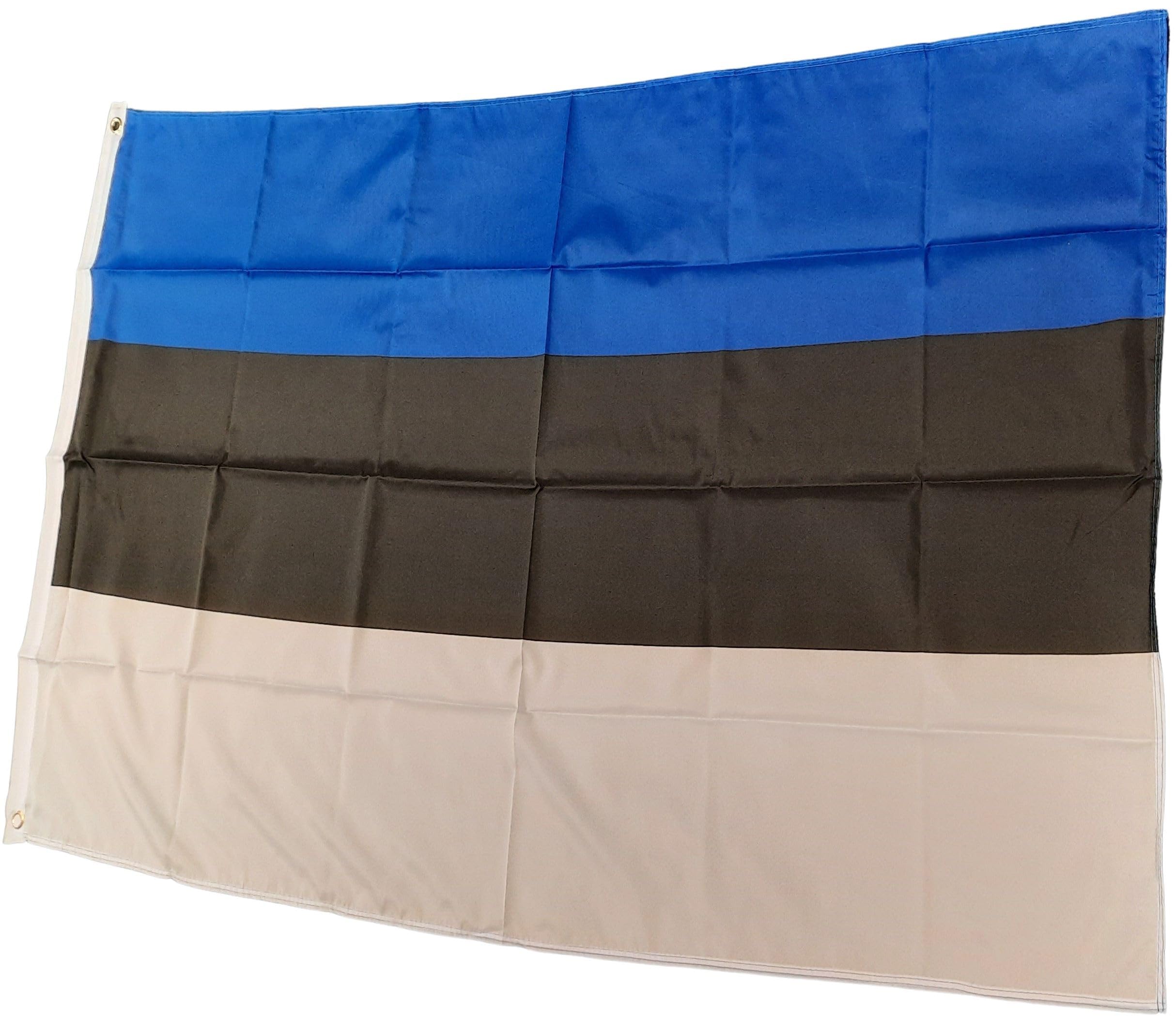 NWFlags Estonia Flag 3ft x 2ft 75d Premium Polyester Suitable For Flagpoles | Strong Polyester 3x2 foot material flag with Eyelets