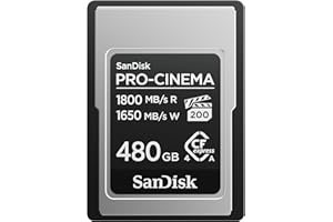 SanDisk 480GB PRO-Cinema CFexpress Type A Card - Up to 1800MB/s Read Speeds & Up to 1650MB/s Write Speed, Type A Memory Card,