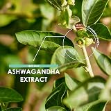 Alpha01 Ashwagandha Extract 5000mg 12.5mg Withanolides 120 Caps BioPerine view 4