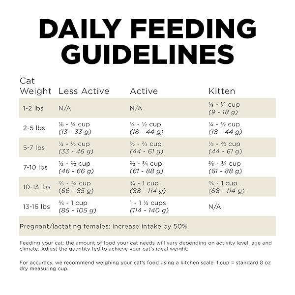 GO! SOLUTIONS CARNIVORE GRAIN FREE DRY CAT FOOD, 16 LB – LAMB + WILD BOAR RECIPE – PROTEIN RICH DRY CAT FOOD – COMPLETE + BALANCED NUTRITION FOR ALL LIFE STAGES