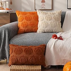 DFXSZ Fall Pillow Covers 16x16 Set of 2 Fall