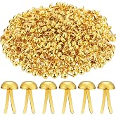 Hotop 500 Pcs Brads for Paper Crafts Fastener,0.3 X 0.6 Inch,Golden | 0.3 x 0.6 Inch, Metal Paper Fastener, Round Prong Fasteners for Scrapbooking School Project, Reusable for DIY Paper Craft