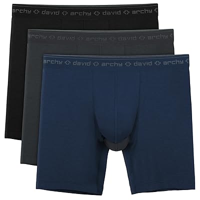 David Archy Men's 3 Pack Underwear Micro Modal Separate Pouches Boxer Briefs with Fly
