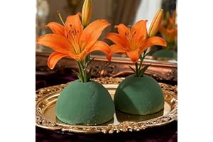 Floral Foam Half Balls, Half Round Green Dry & Wet Flower Foam for Fresh or Artificial Flower Arrangements, Florist Foams for