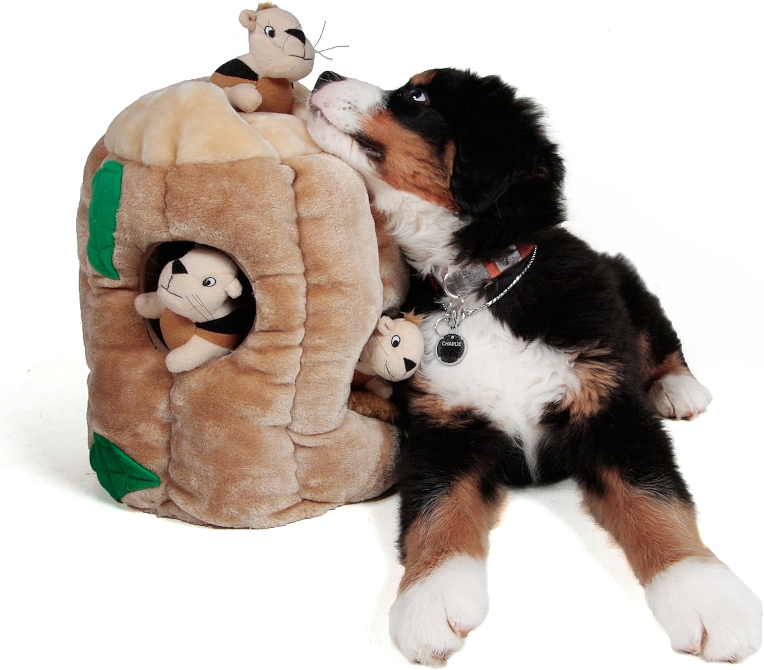 hide a squirrel dog toy amazon