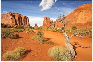 Riivvdise Reptile Habitat Background Sandstone Rock Mountain Scenery Backdrop Desert Terrarium Background Aquarium Background Durable Polyester Background Vinyl 72x24in