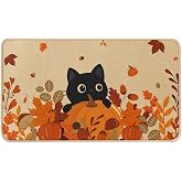Miss Adola Fall Door Mat Non-Slip Backing Fall Decor 17x29 in, Pumpkin Cat | Low-Profile Mat, Indoor Outdoor Entryway Decor, Washable, Home Kitchen Porch Entrance Mat, Fall Door Mat