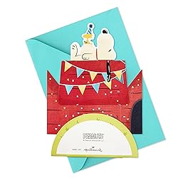 Hallmark Paper Wonder Peanuts Pop Up Birthday Card