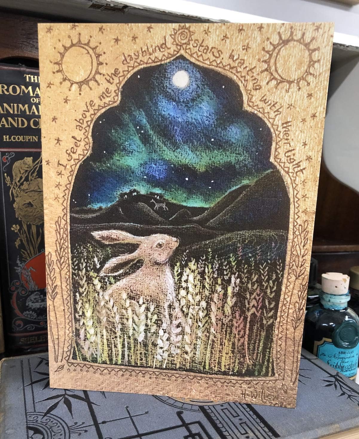 Hannah Willow Northern Lights UK made Art Greetings Card - Hare gazing at the Northern Lights - Birthday card