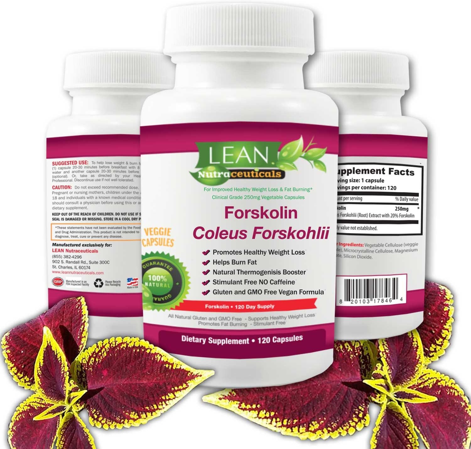 Lean Nutraceuticals Forskolin Extract - Natural Coleus Forskohlii - 250mg - Pure 20 Percent Extract Veggie Capsules Supplement 120 Caps