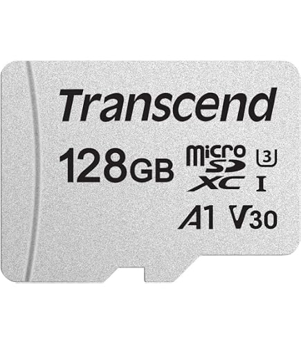 Amazon.com: Transcend 256GB USD300S microSD Card, 100MB/s, 4K, U3
