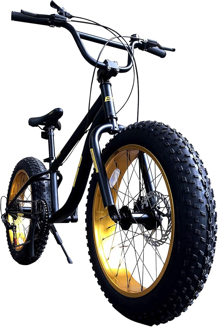 eizer 自転車