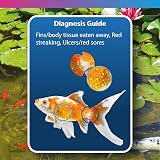 NT Labs Pond Eradick 1 Litre Parasite & Fungus Treatment for Pond Fish view 4