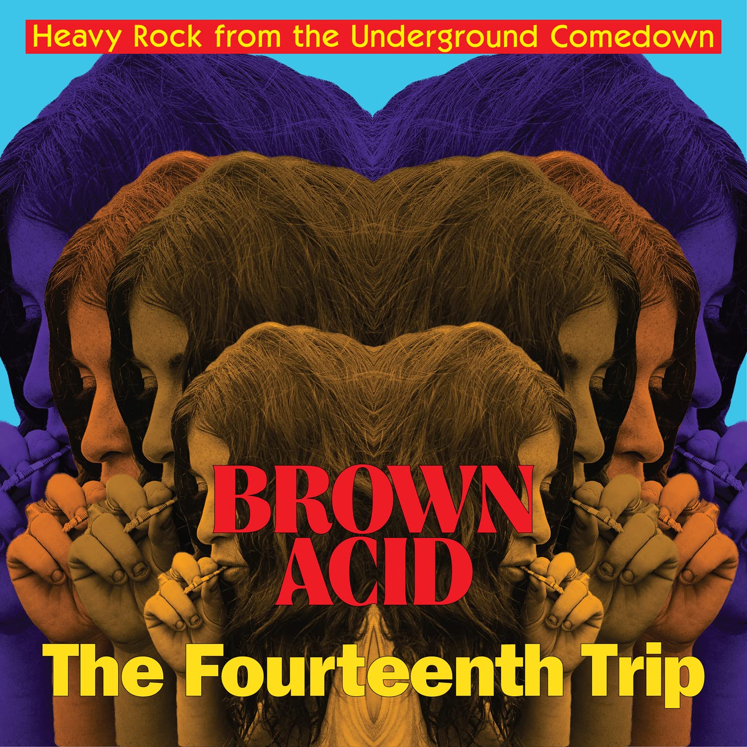 Brown Acid - Fourteenth Trip (various Artists) Image