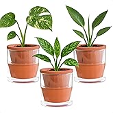 D'vine Dev 4 Inch Design Self Watering Pot for Indoor Plants, Terracotta Planter with Cylinder Glass Cup, Set of 3, 37-Z-A-1-T