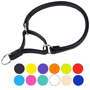 CollarDirect Rolled Martingale Dog Collar, Soft Padded Handmade Genuine Leather Martingale Collars for Dogs, Puppy Small Medium Large