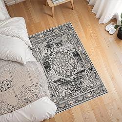 2x3 Washable Hallway Runner Rug: Oriental Indoor