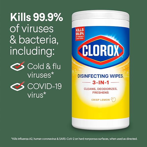 CLOROX DISINFECTING CLEANING WIPES VARIETY PACK, 35 COUNT EACH (PACKAGE MAY VARY)
