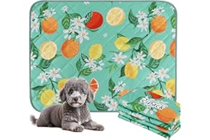 BVAGSS Washable Pee Pads for Dogs, 2 Pack Reusable Leakproof Puppy Wee Wee Pad, Non-Slip Waterproof Pet Training Pads, Super Absorbent Whelping Pads XH081 (Green Lemon, 24X18 Inch (Pack of 2))