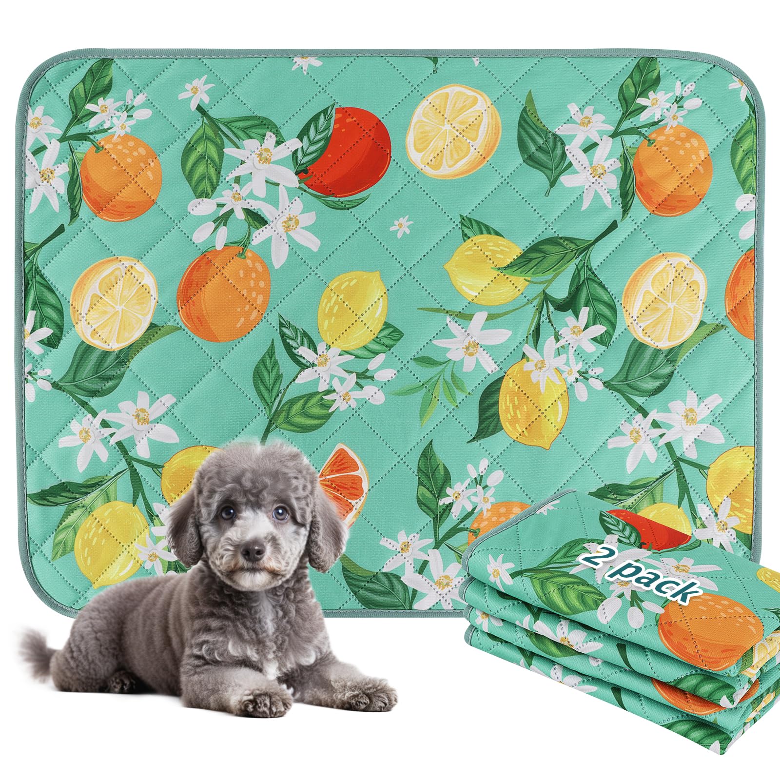 BVAGSS Washable Pee Pads for Dogs, 2 Pack Reusable Leakproof Puppy Wee Wee Pad, Non-Slip Waterproof Pet Training Pads, Super Absorbent Whelping Pads XH081 (Green Lemon, 60x60cm)