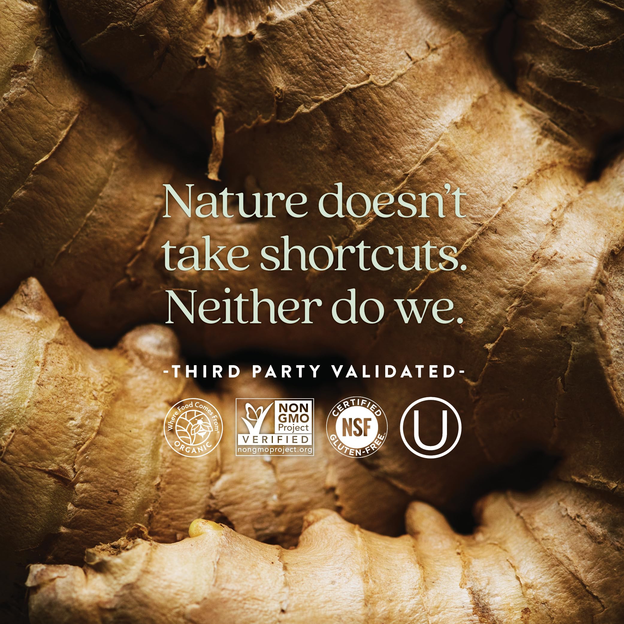 New Chapter Men's Multivitamin for Immune, Stress, Heart + Energy Support with Fermented Nutrients - Every Man's One Daily, Made with Organic Vegetables & Herbs, Non-GMO, Gluten Free - 72 ct